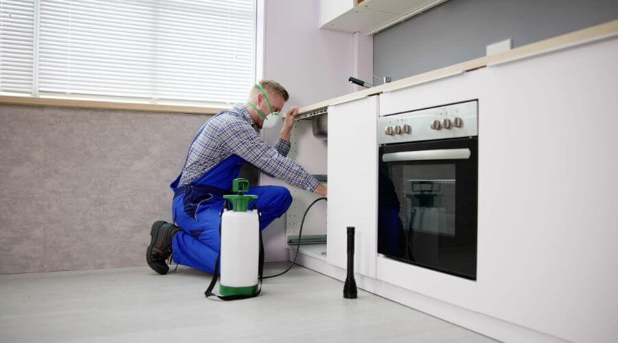 Why choose Bed Bug Heat Treatment Rochdale for bed bug heat treatment in Rochdale